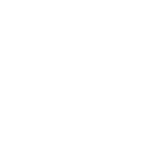 Ostlicht Logo Weiß