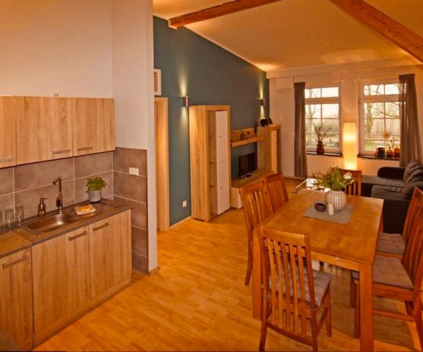 Geräumiger, offener Wohnraum in einer Ferienwohnung, der eine moderne Küchenzeile aus hellem Holz und einen rustikalen Essbereich mit einem großen Holztisch und Stühlen umfasst.